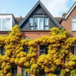 ontdek waarom huurders onverwacht hun woning kunnen verliezen door bijenkasten aan de gevel en wat de juridische gevolgen hiervan zijn.